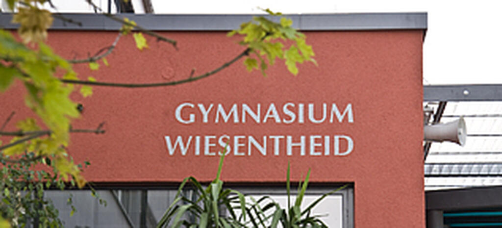 Wiesentheid Gebäude