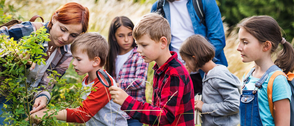 Schülerinnen und Schüler auf einer Exkursion im Wald